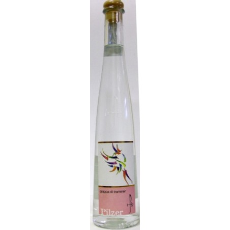 GRAPPA DI TRAMINER PILZER