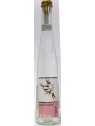 GRAPPA DI TRAMINER PILZER