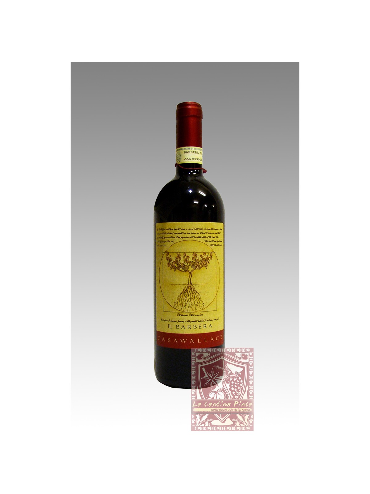 IL BARBERA 2008 - CASA WALLACE
