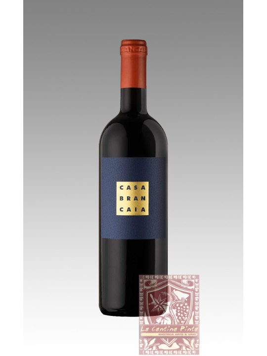 IL BLU 1995    BRANCAIA