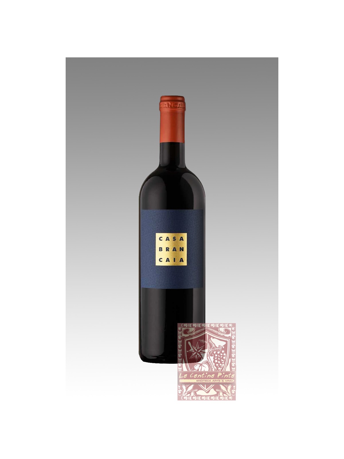 IL BLU 1995    BRANCAIA