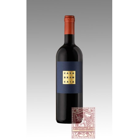 IL BLU 1998    BRANCAIA