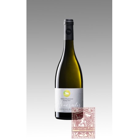 SAUVIGNON BLANC PRAESULIS 2015 - TENUTA GUMPHOF
