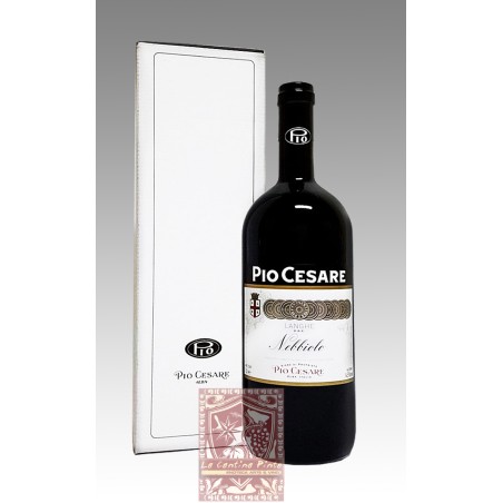 IL NEBBIO 2019  MAGNUM NEBBIOLO LANGHE - PIO CESARE