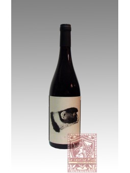 SANGIOVESE SUPERIORE DI ROMAGNA 2022 VIGNA GODENZA NOELIA RICCI