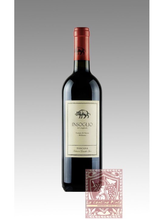 INSOGLIO DEL CINGHIALE 2021 - CAMPO DI SASSO
