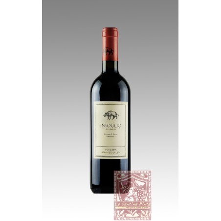 INSOGLIO DEL CINGHIALE 2021 - CAMPO DI SASSO