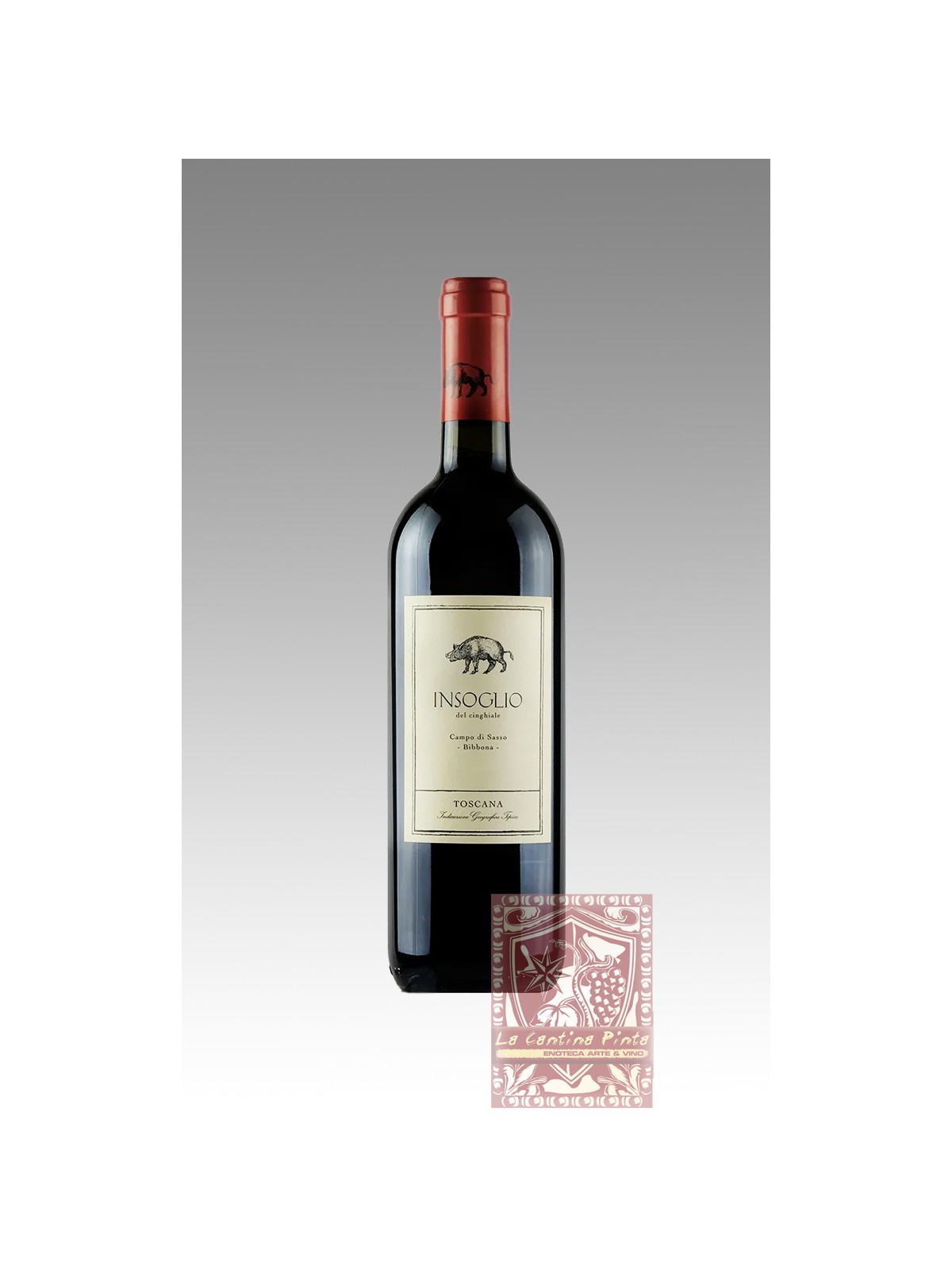 INSOGLIO DEL CINGHIALE 2021 - CAMPO DI SASSO