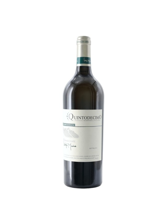 IRPINIA BIANCO GRANDE CUVEE LUIGI MOIO 2020  QUINTODECIMO