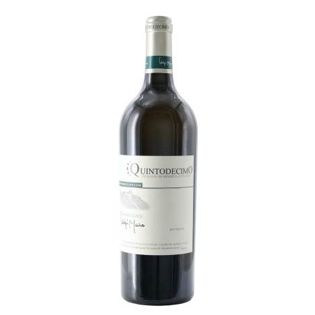 IRPINIA BIANCO GRANDE CUVEE LUIGI MOIO 2020  QUINTODECIMO
