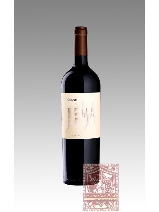 JEMA CORVINA VERONESE 2016 - CESARI