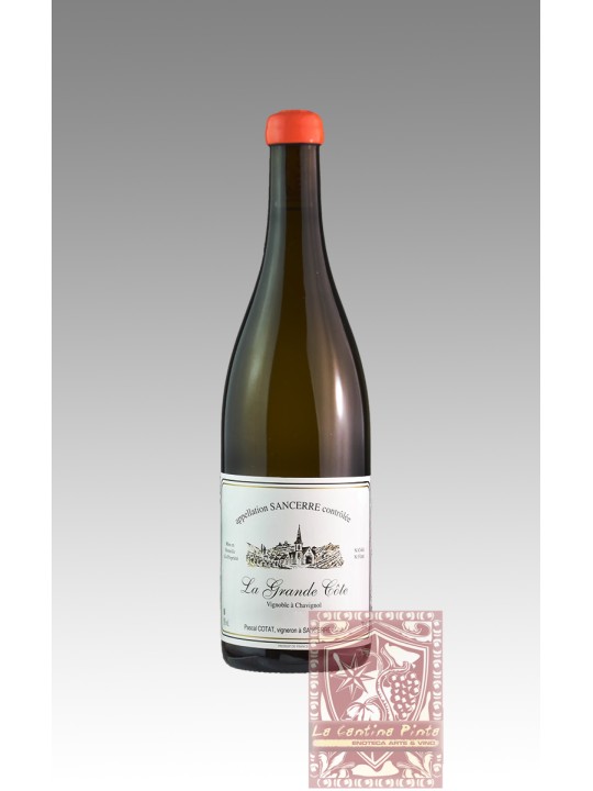 LA GRANDE COTE SANCERRE 2020 - PASCAL COTAT
