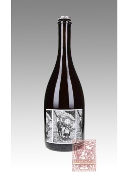 LAMBRUSCO BERGIANTI PERFRANCO ROSATO ANCESTRALE