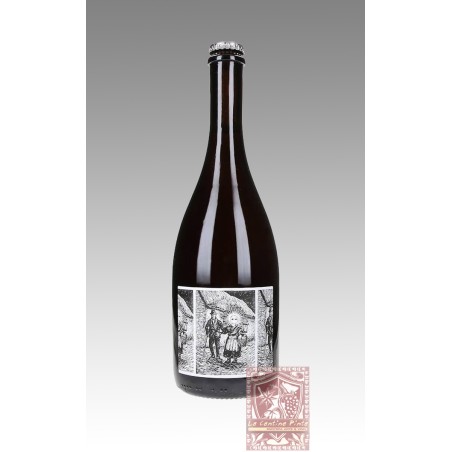 LAMBRUSCO BERGIANTI PERFRANCO ROSATO ANCESTRALE