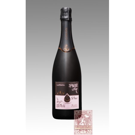 LAMBRUSCO GRASPAROSSA NOI DUE  SPUMANTE ROSATO DI QUALITA' EXTRA DRY (BIO) - LA PIANA-