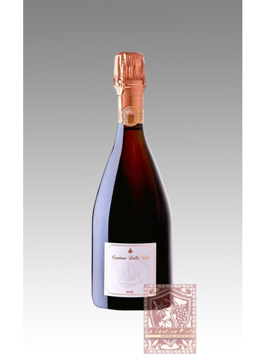 LAMBRUSCO ROSE' DI MODENA SPUMANTE DOC METODO CLASSICO 2017 - CANTINA DELLA VOLTA