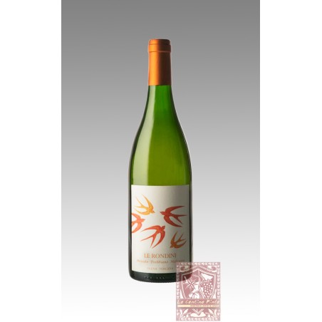 LE RONDINI 2020 TOSCANA BIANCO -  PODERE ERICA