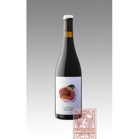 LINTERO TERRE DI CONFINE - VINO ROSSO NATURALE - GIULIA MARANGON