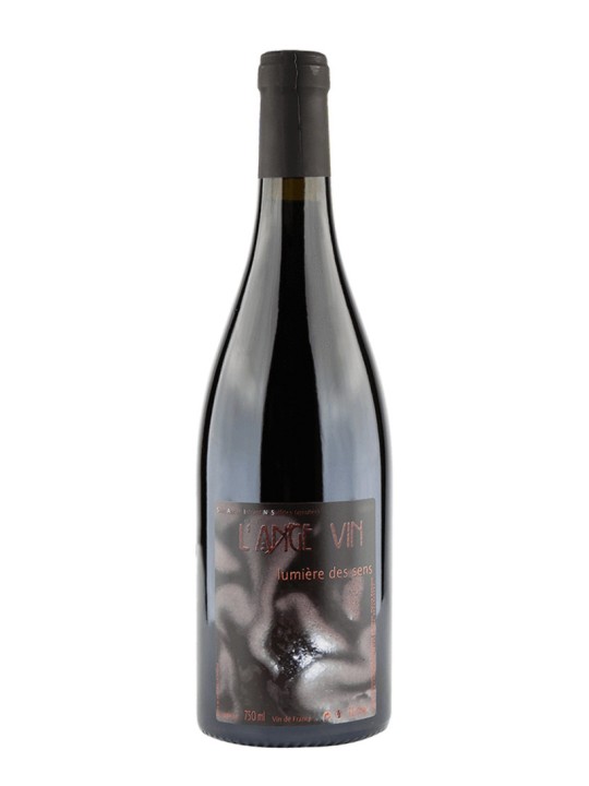 LUMIERE DES SENS 2021 JEAN-PIERRE ROBINOT- L'ANGE VIN