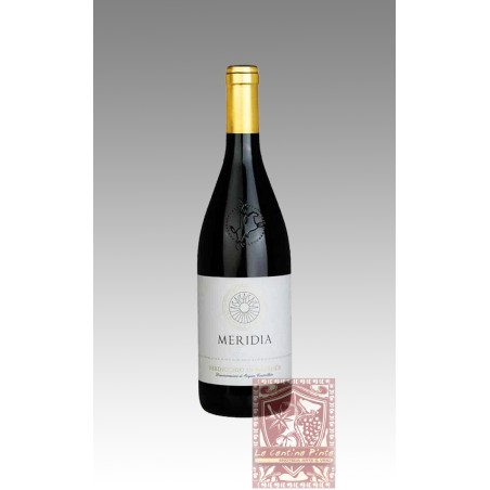 MERIDIA VERDICCHIO DI MATELICA 2020 - BELISARIO