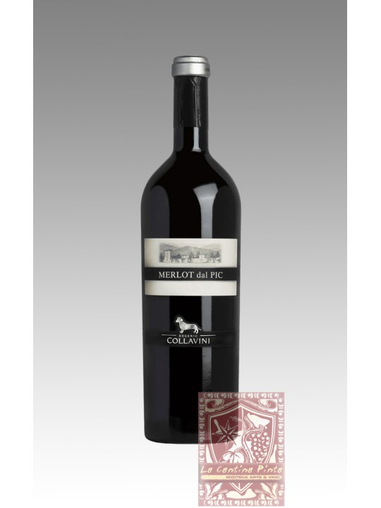 MERLOT DAL PIC 2011 - COLLAVINI