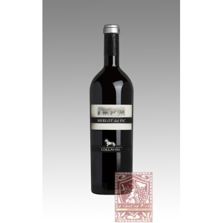 MERLOT DAL PIC 2011 - COLLAVINI