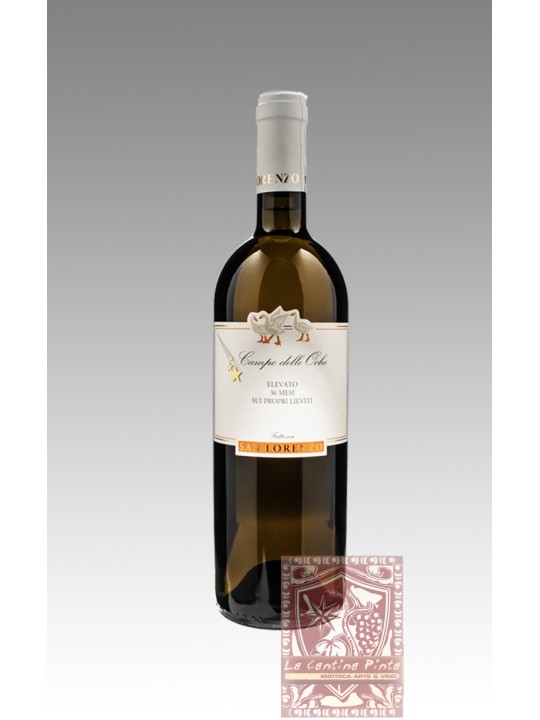 VERDICCHIO LE OCHE 2021 - FATTORIA SAN LORENZO