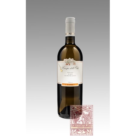 VERDICCHIO LE OCHE 2021 - FATTORIA SAN LORENZO