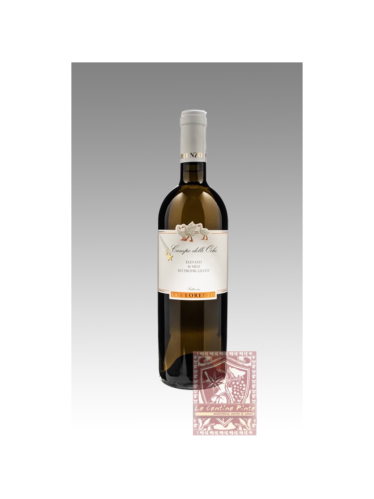 VERDICCHIO LE OCHE 2021 - FATTORIA SAN LORENZO
