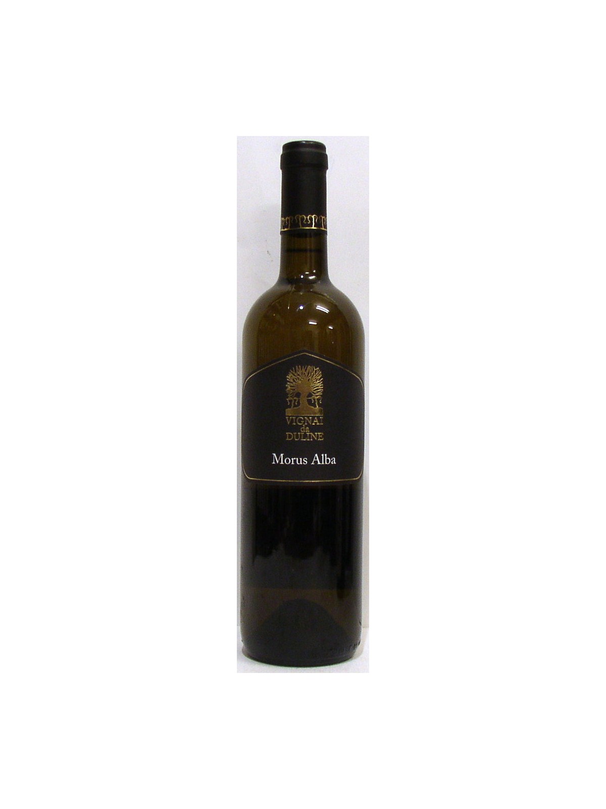 MORUS ALBA 2021 - VIGNAI DA DULINE