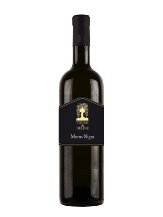 MORUS NIGRA REFOSCO DAL PEDUNCOLO ROSSO 2017 - VIGNAI DA DULINE (BIO)