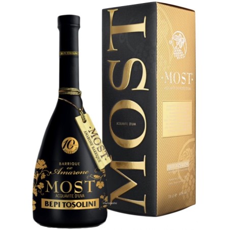 MOST ACQUAVITE MOSTO D'UVE BARRIQUE EX  AMARONE - BEPI TOSOLINI