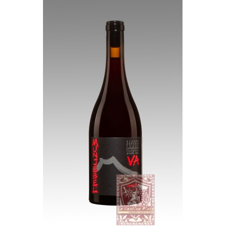 MUNJEBEL ROSSO VA VIGNE ALTE 2019 - FRANK CORNELISSEN