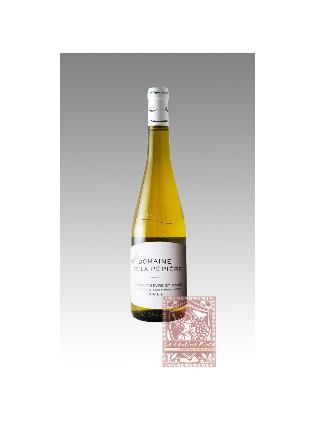 MUSCADET 2019 SUR LIE - DOMAINE DE LA PEPIERE