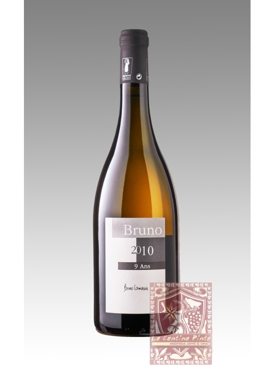 MUSCADET BRUNO 2010 9 ANS - BRUNO CORMERAIS