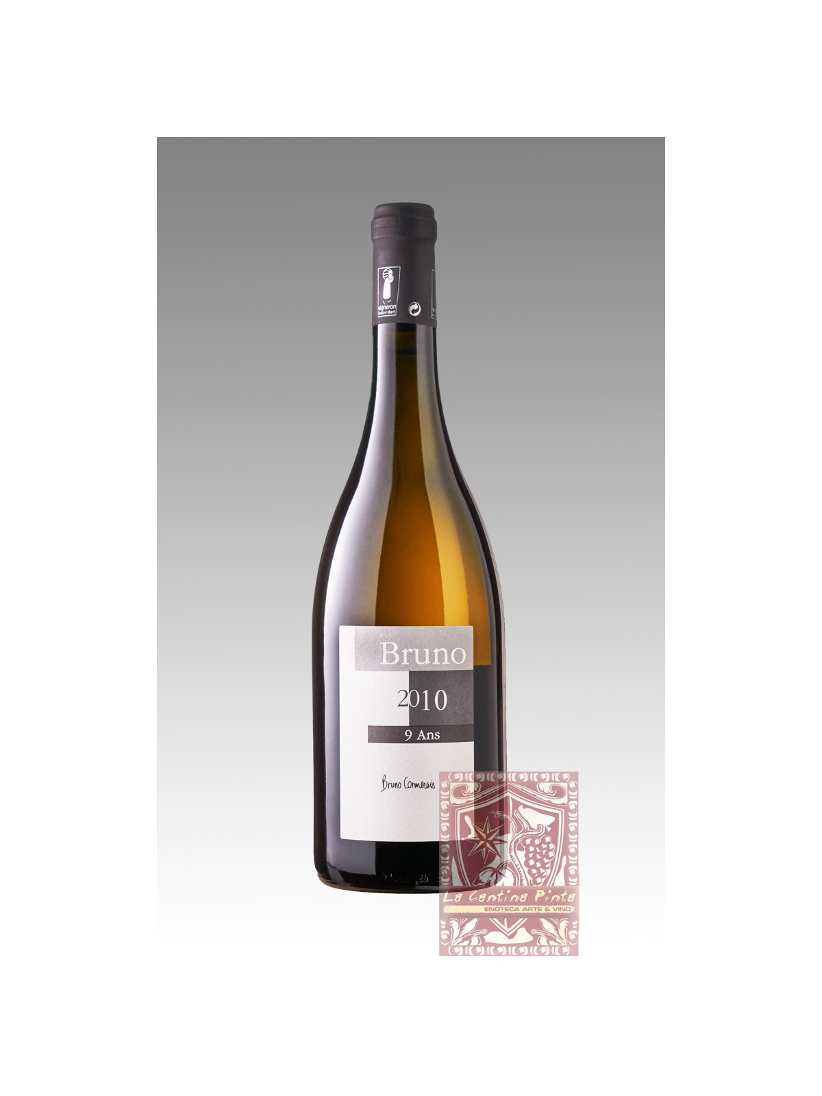 MUSCADET BRUNO 2010 9 ANS - BRUNO CORMERAIS