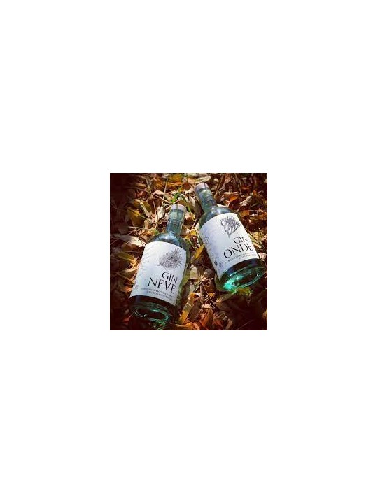 CONFEZIONE REGALO 2 GIN G.C. SPIRITS: 1 GIN ONDE - 1 GIN NEVE