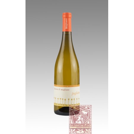 PAGLIATURA VERMENTINO DI MAREMMA 2022 -FATTORIA DI MAGLIANO