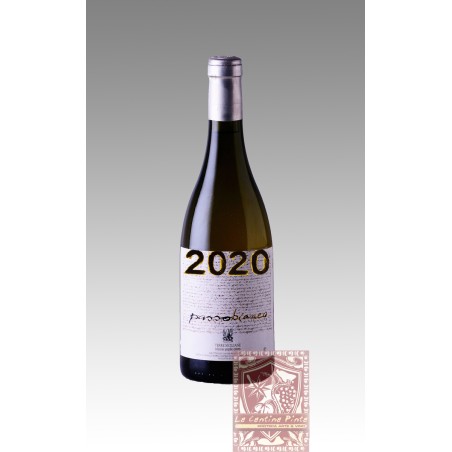 PASSOBIANCO  ETNA DOC 2020 - FRANCHETTI, PASSOPISCIARO