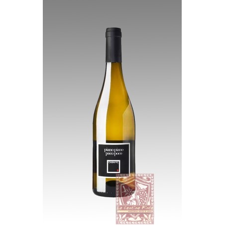 PIANO PIANO POCO POCO SAUVIGNON 2014 - CASAVYC