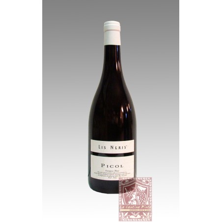 PICOL SAUVIGNON 2020 - LIS NERIS