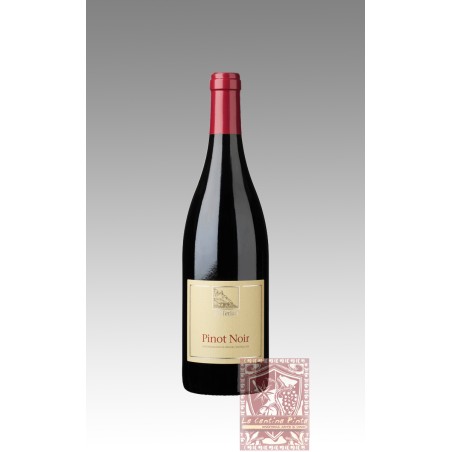 PINOT NERO 2021 - CANTINE TERLANO - KELLEREI KALTERN