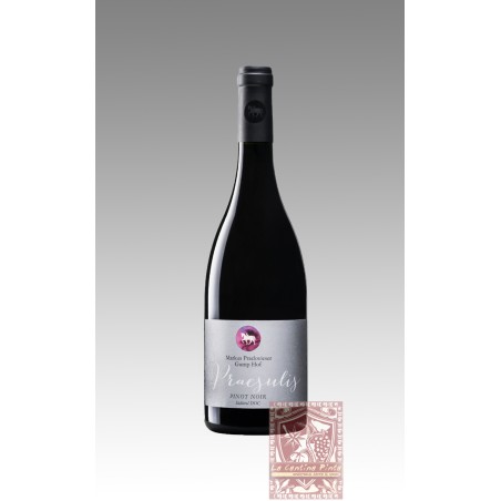 PINOT NERO PRAESULIS 2021 - GUMPHOF
