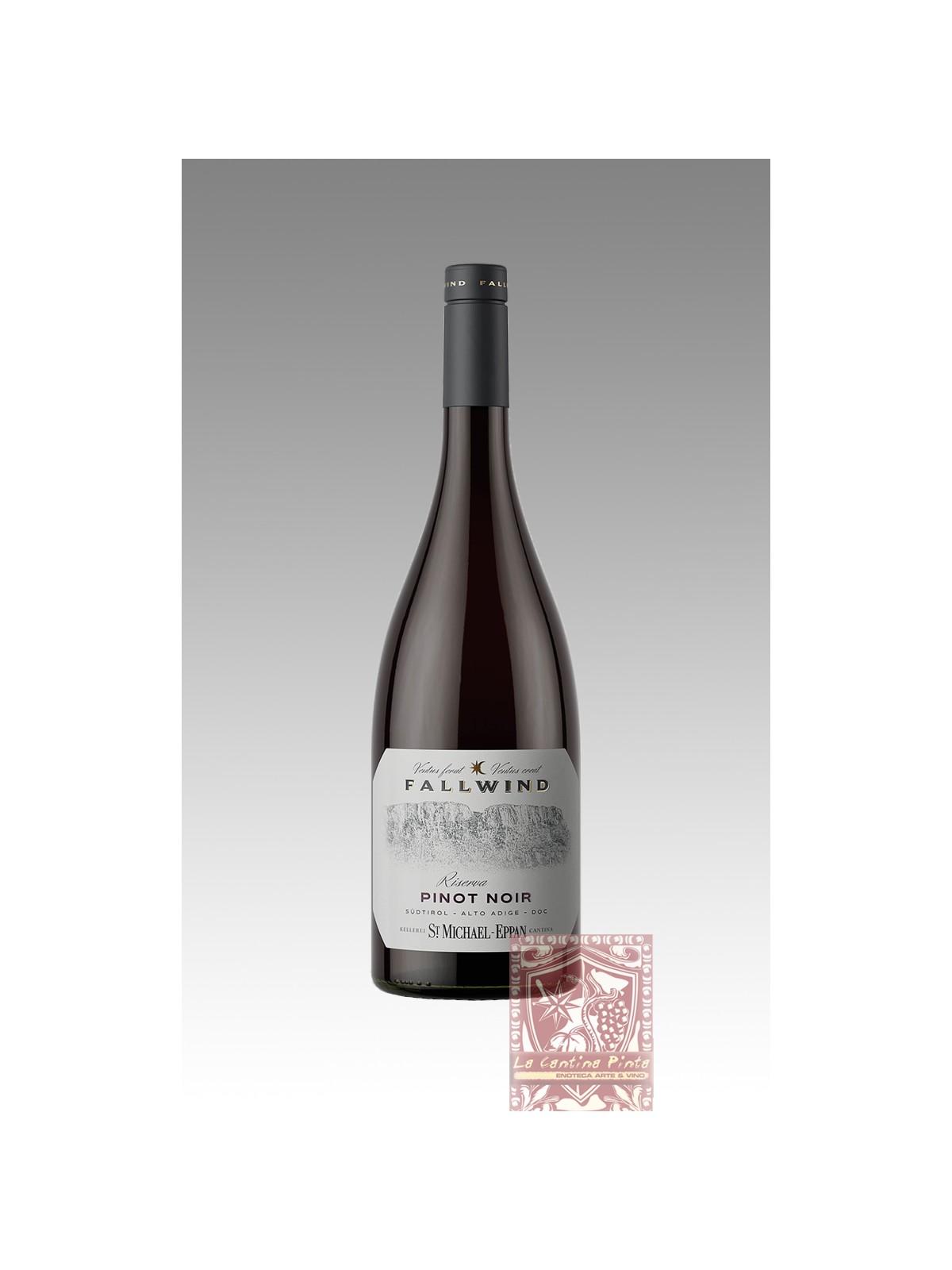 PINOT NERO RISERVA FALLWIND  2019 - SAN MICHELE APPIANO