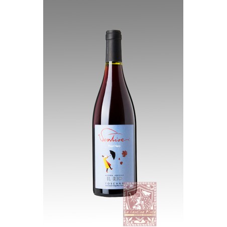 PINOT NERO VENTISEI 2019 - AZ. AGRIC. IL RIO