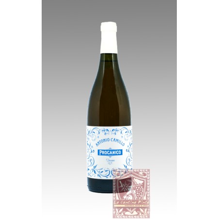 PROCANICO TOSCANA BIANCO 2020 - ANTONIO CAMILLO