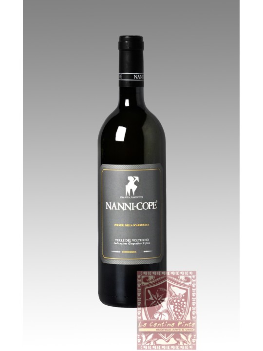 POLVERI DELLA SCARRUPATA 2018  -NANNI COPE'