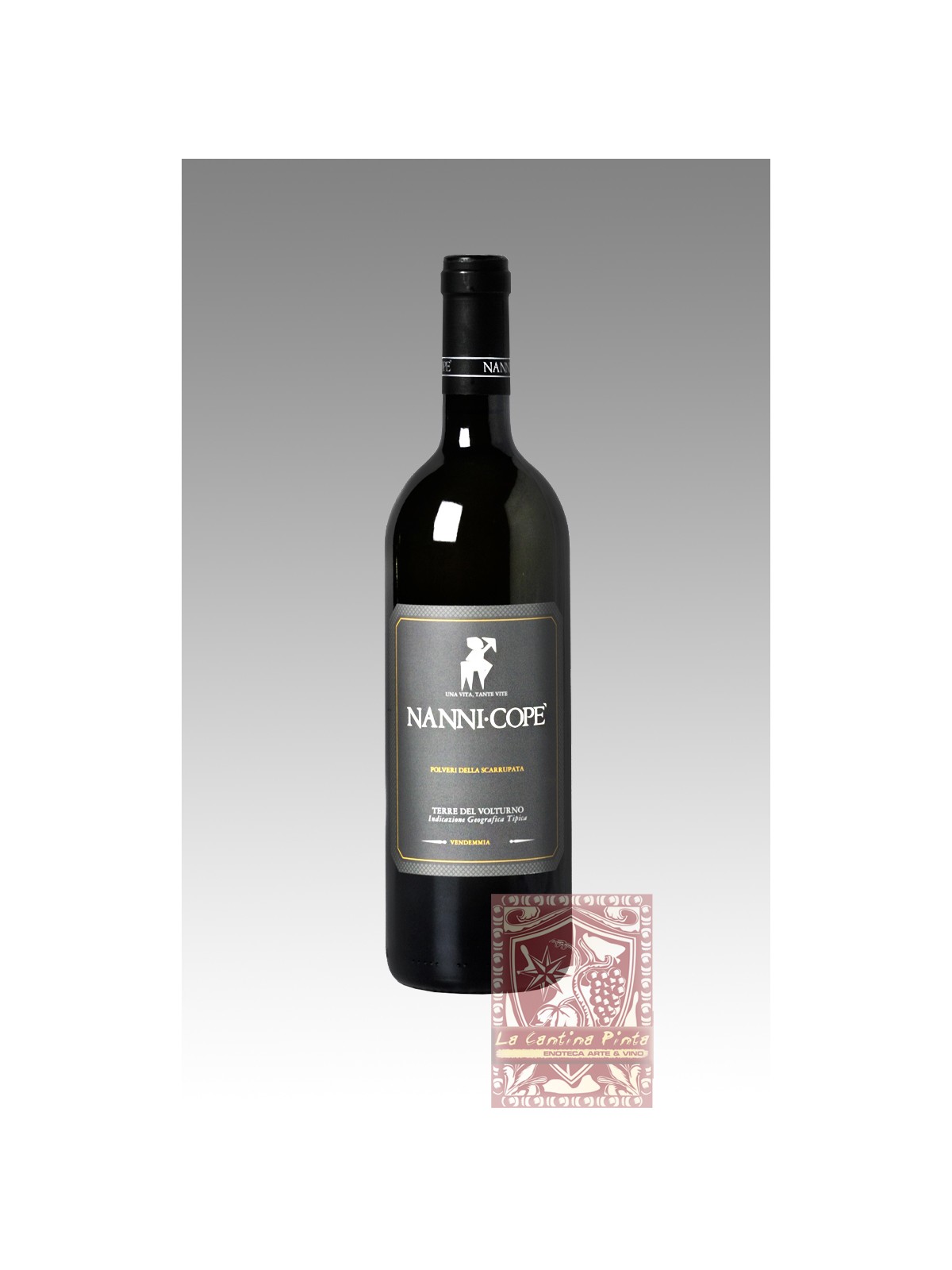 POLVERI DELLA SCARRUPATA 2018  -NANNI COPE'