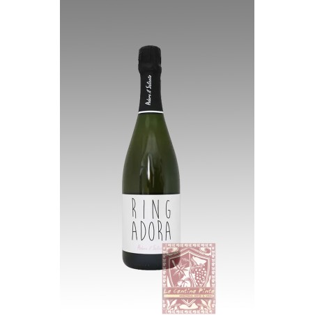 RINGADORA 2021 LAMBRUSCO DI SORBARA MET. CLASSICO - IL SALICETO