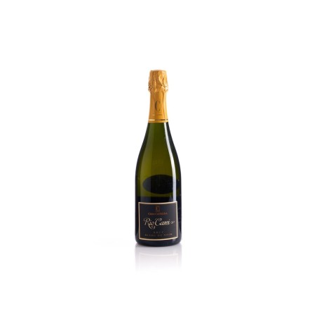 RIO CAMI BLANC DE NOIR BRUT CASA CATERINA